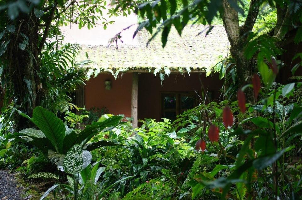 Hacienda La Isla Lodge Sarapiquí Exterior foto